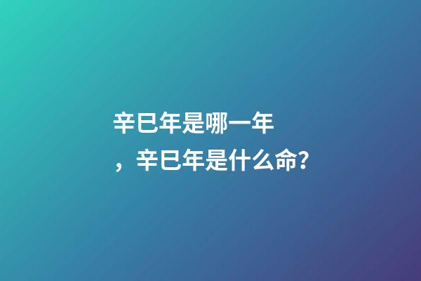 辛巳年是哪一年，辛巳年是什么命？